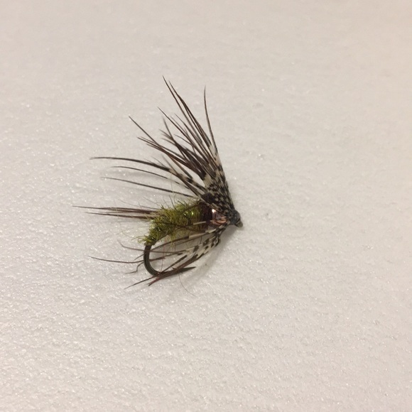 Fly, nymph pattern - Picture 3 of 3